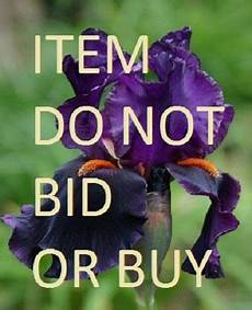 bid or buy untitled do not bid or buy greg org bid or buy untitled do not bid or buy greg org