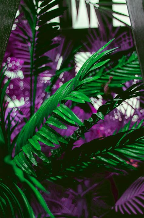 Course Module 1 Design 的图像结果