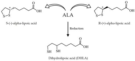 Alpha-Lipoic Acid as an Antioxidant Strategy for Managing Neuropathic Pain