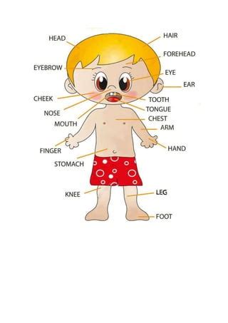 Image result for Learning Basic English Lesson 1