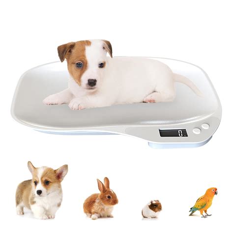 Multi-Function Digital Pet Scale for Small Dog Cat and Animals,Large ...