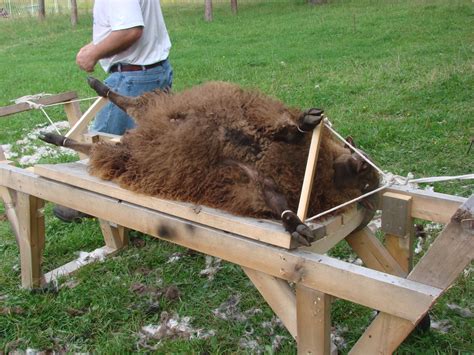 Image result for Shearing Table