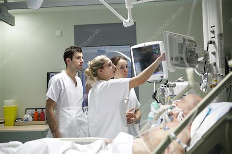 Intensive 的图像结果