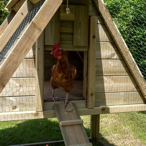 Large Raised Chicken Coop
