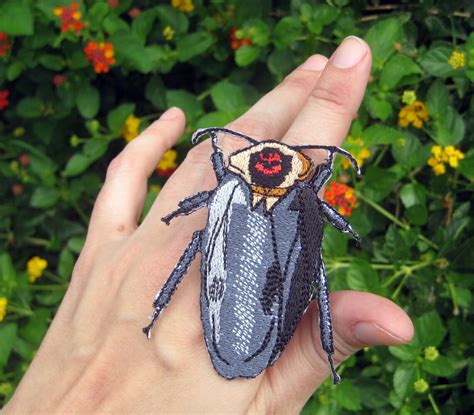 Rare Cockroach 的图像结果