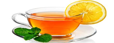 Top 6 Varieties Of Herbal Tea You Must Try – Joybynature.com