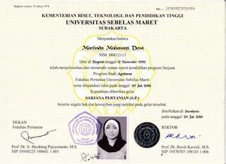 AMBIL SEKARANG