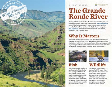 Grande Ronde River Float at Jeremy Tellez blog