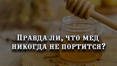 Правда ли, что мед никогда не портится - YouTube