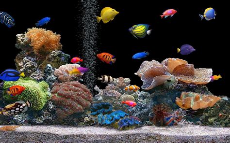 Image result for Offshore ASP.NET Development
