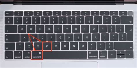 Image result for Macbook Copy Paste Tutorial