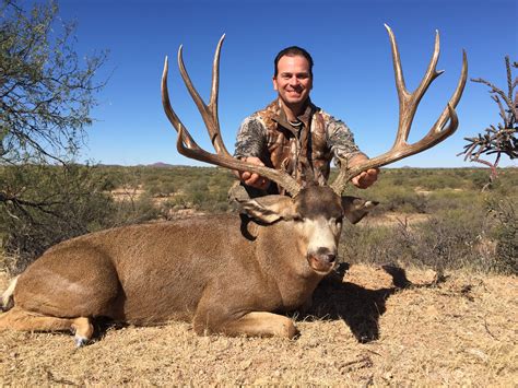 Diy Mule Deer Hunting In New Mexico at Jessica Fly blog