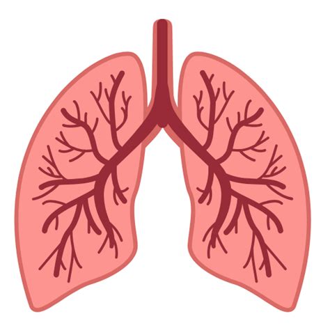 AcuSuggest – Find Acupuncture Points by Disease, Condition & Meridian ...