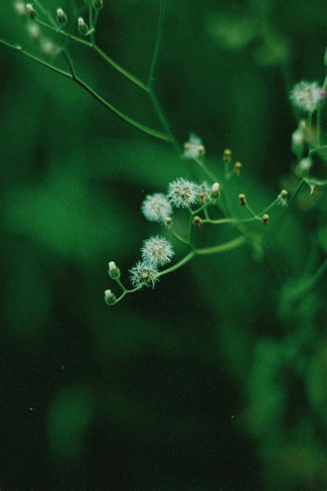 Small Resolution Image Free Stock 的图像结果