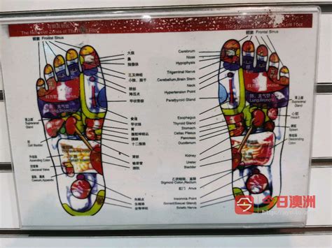 给女性脚做足疗按摩的图片-欧莱凯设计网