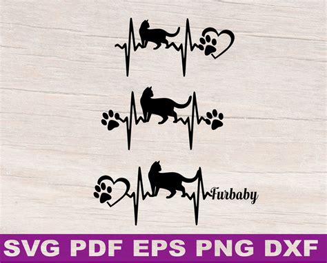 Image result for Cat Learning SVG