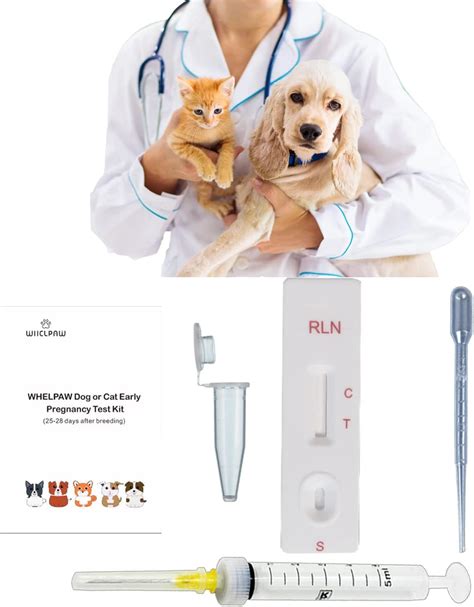 Amazon.com: Feline Pregnancy Test Kit, Fast and Accurate at-Home Cat ...