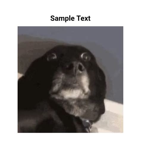 Surprised dog Animated Gif Maker - Piñata Farms - The best meme ...