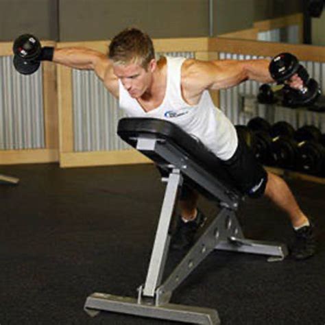 Image result for Reverse Fly Over FitBALL