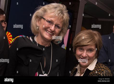 Rezultat imagine pentru Open DLD File