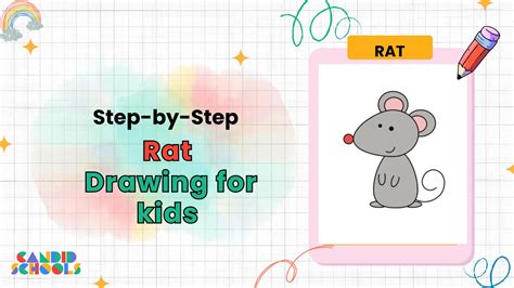 Easy Rat Drawing Step By Step