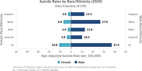 Suicide Rates 2025