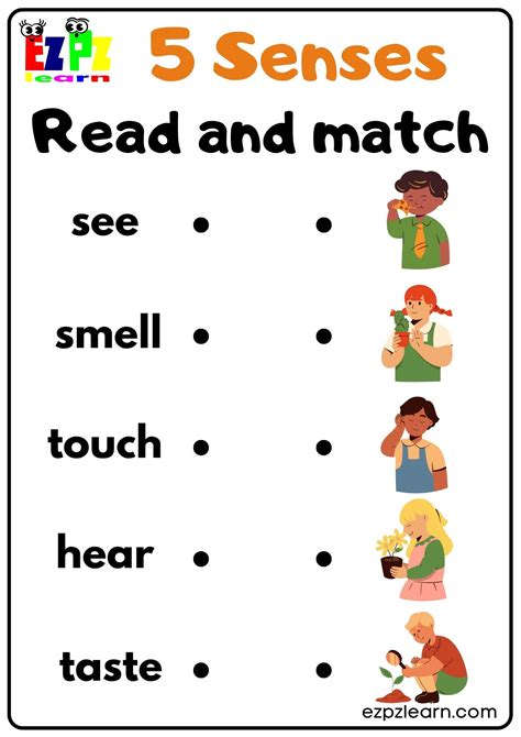 Five Senses - Ezpzlearn.com - Worksheets Library