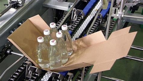 Image result for Automatic Case Packing Line