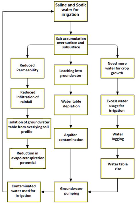 Irrigation Induced Salinity and Sodicity Hazards on Soil and ...