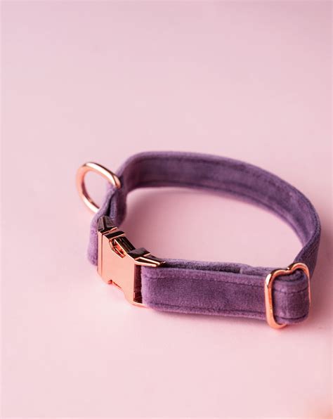 pAww! Suede Collars without an Attached Bow – Puppiezo