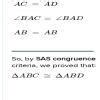 In quadrilateral ACBD, AC = AD and AB bisects ∠ A (see figure). Show ...