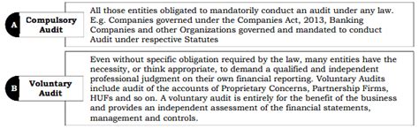 Nature, Objective and Scope of Audit - Auditing and Ethics for CA ...
