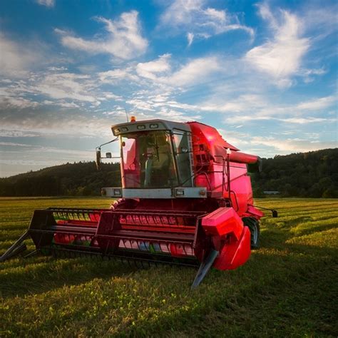 Image result for Piusi Program