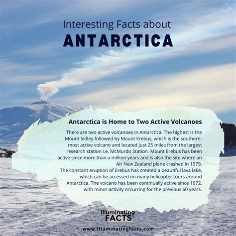 Interesting Facts about Antarctica - Illuminating Facts