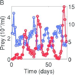 Image result for Predator-Prey Cycles
