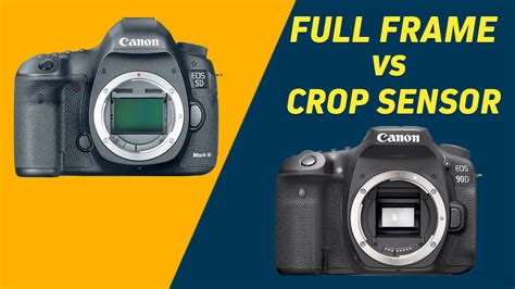 DSLR Camera Sensor 的图像结果