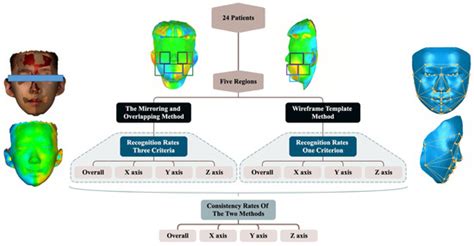 Comparison of Mirroring and Overlapping Analysis and Three-Dimensional ...