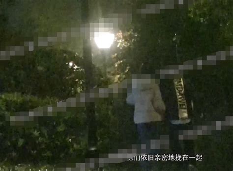 张芷溪与男子挽手散步 被对方背着前行画面甜蜜_新浪图片