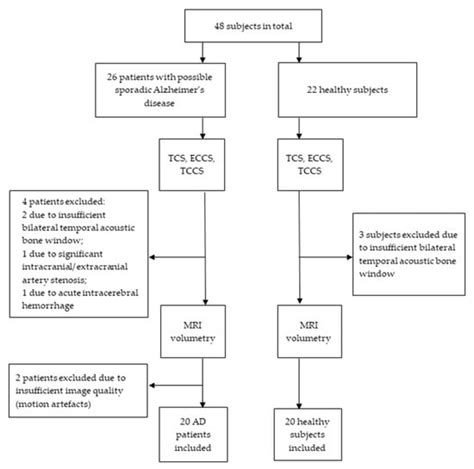 Diagnostic Ability of Structural Transcranial Sonography in Patients ...