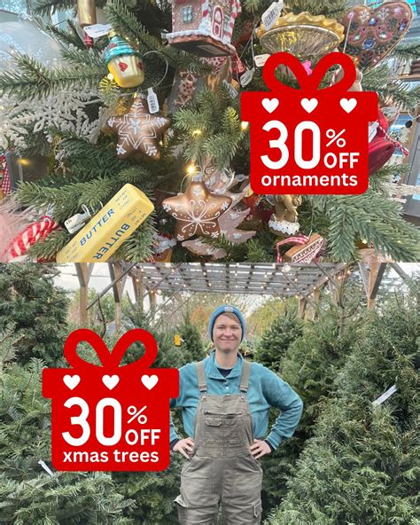 West Seattle Nursery (@westseattlenursery) • Instagram photos and videos