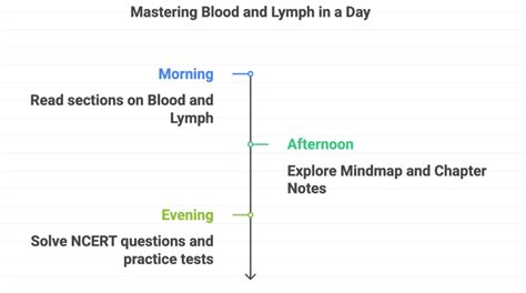 6 Days Study Plan: Body Fluids and Circulation - Biology Class 11 ...