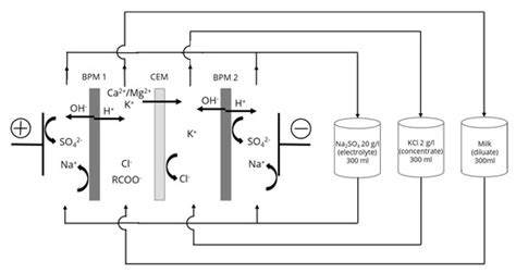 Impacts of Flow Rate and Pulsed Electric Field Current Mode on Protein ...