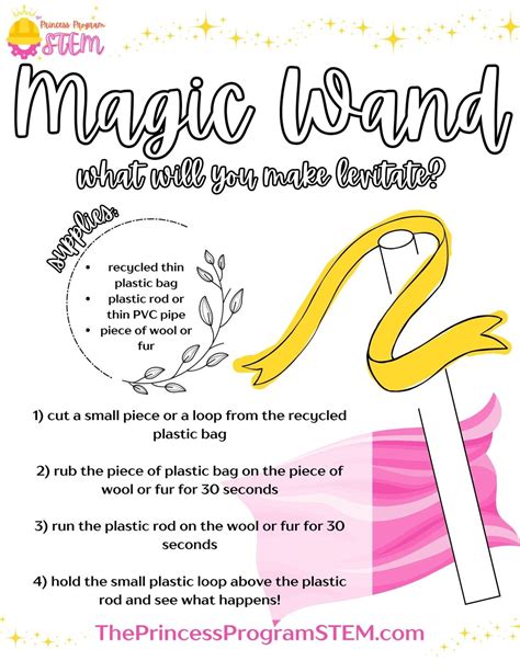 Image result for Princess Program