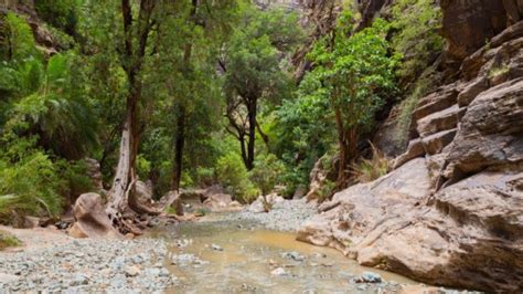 Best 8 Places to Visit in Jazan: For an Ideal Holiday in Saudi Arabia