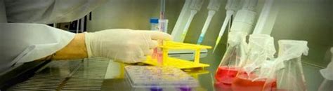 Medical Lab Technology 的图像结果