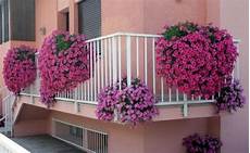 terrazzo fiorito tutto l anno come avere un balcone fiorito tutto l anno green mag terrazzo fiorito tutto l anno come avere un balcone fiorito tutto l anno green mag
