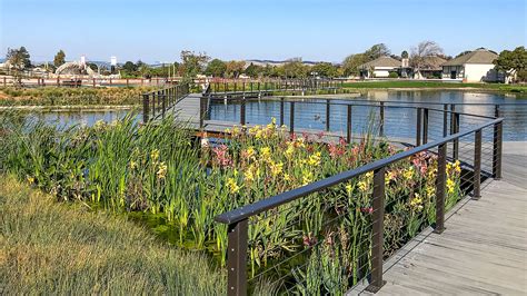 San Lorenzo Community Park Lake Design