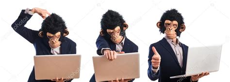 Image result for Happy Monkey Computer