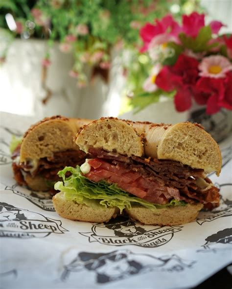 Black Sheep Bagels (@blacksheepbagelsnf) • Instagram photos and videos