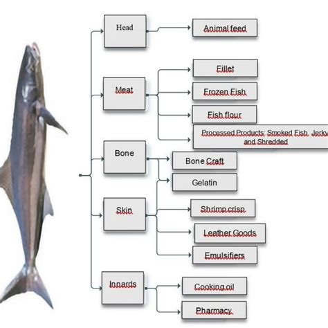 Image result for Fish Tree Power BI Tutorial